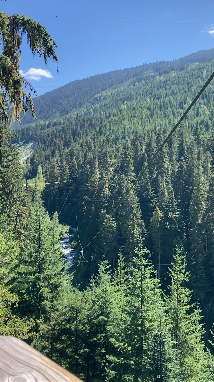 whistler.PNG